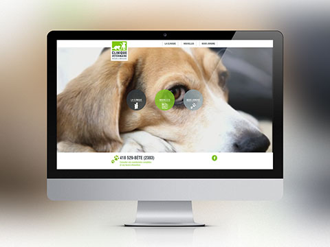 Clinique vétérinaire Vieux-Limoilou